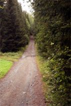 Den gamla kyrkvägen mellan Bångåsen och Ede